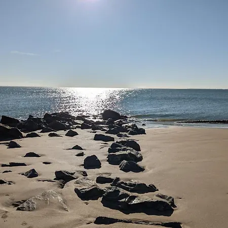 Superb With Garden And Terrace Dom wakacyjny *