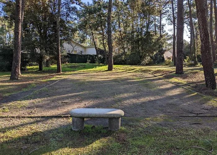 Superb With Garden And Terrace